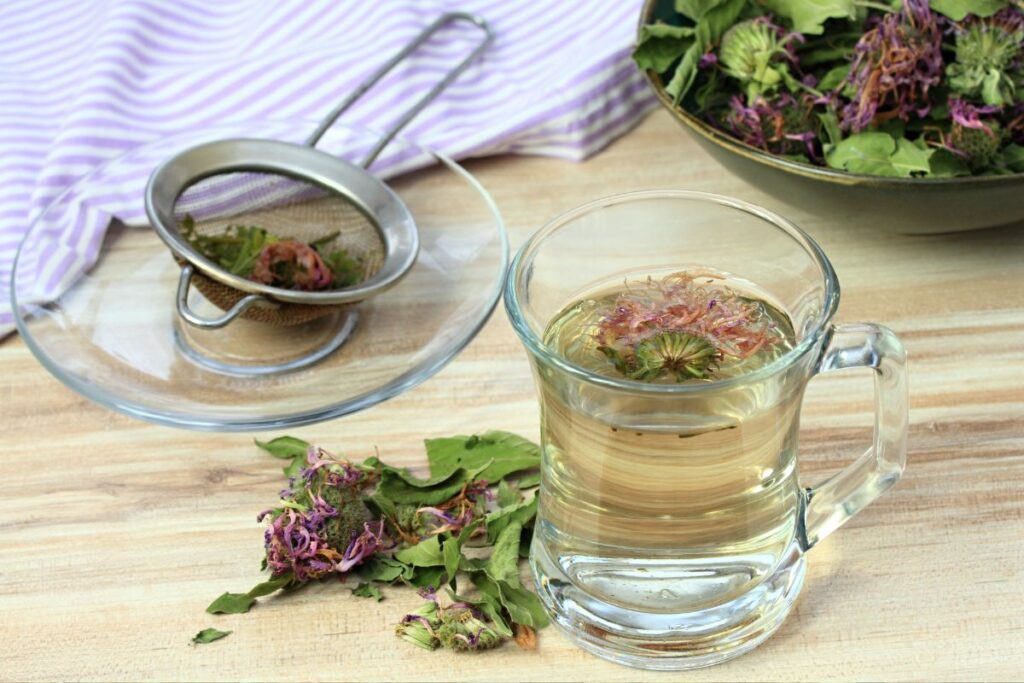 Nebenwirkungen von blauem Bienenbalsamtee