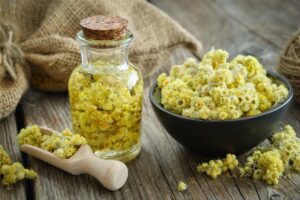 Vielköpfiges Ruhrkraut: Anwendungen, Vorteile und mögliche Nebenwirkungen