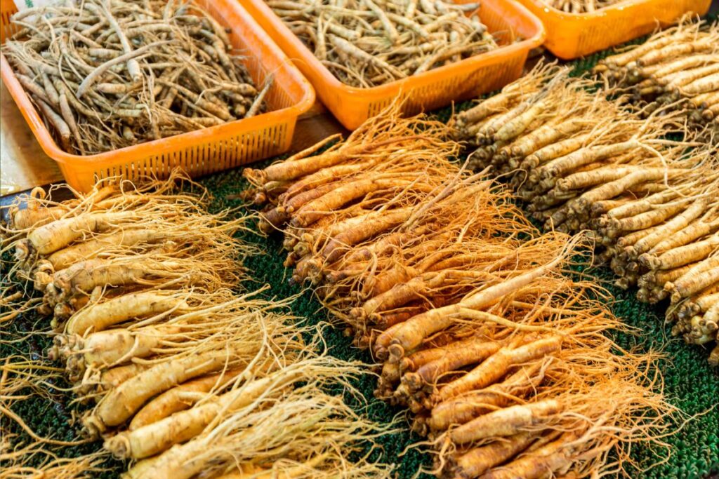 Verschiedene Arten von Ginseng