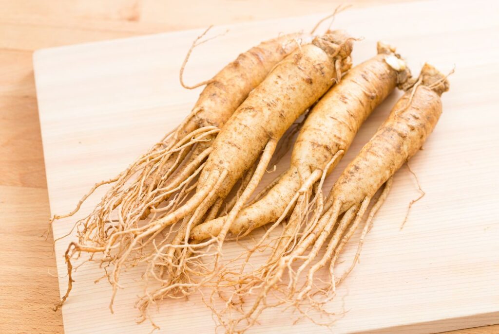 Amerikanischen Ginseng
